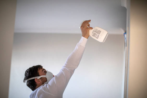 Professional Mold Removal in Casa De Oro Mount Helix, CA