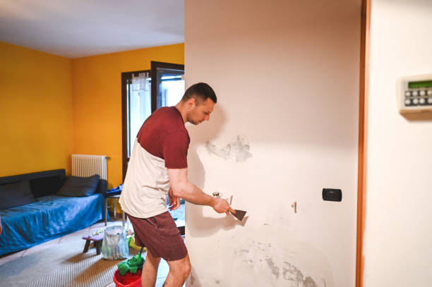 Best Mold Removal Near Me  in Sa De Oro Mount Helix, CA